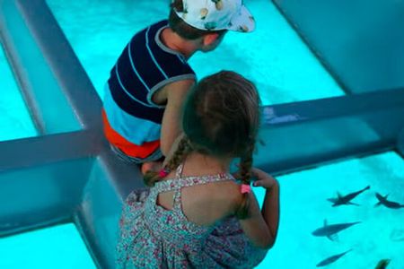 3 hrs Glass Boat Tour in Punta Cana