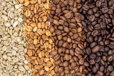 Coffee Plantation Visit and Tasting Activity in Costa Rica