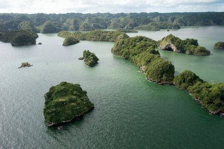 Exploration of mangroves and wildlife Los Haitises.