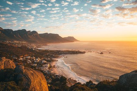 Private Day tour of the Cape. Our reviews show why people book!