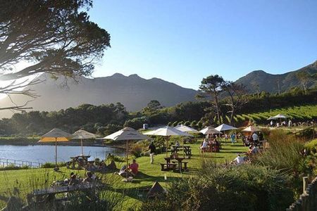 Explore the Cape Peninsula through a Queer Lens Private Tour