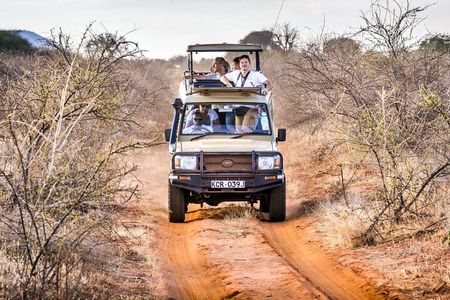 4 Days Private Safari Tour Tsavo and Amboseli from Nairobi