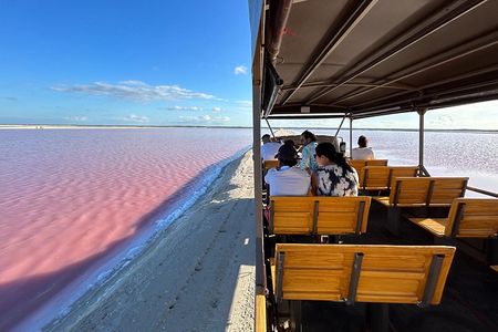 Full Day Tour to Las Coloradas Safari from Riviera Maya