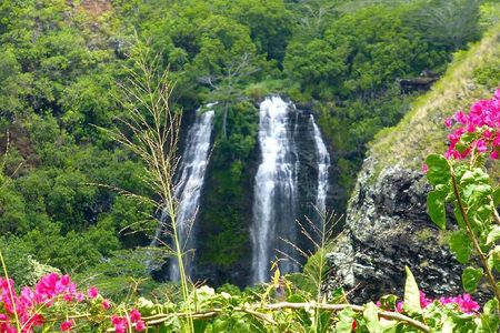 Kauai Eastside & Waterfalls-Shared Small Group Tour