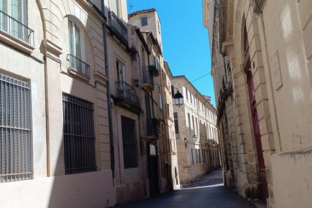 Montpellier guided walking tour 2h (small group)