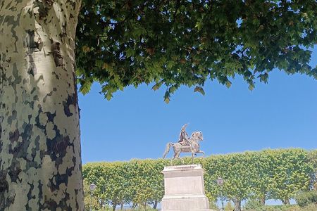 Montpellier guided walking tour 2h (small group)