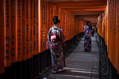 Shore excursion: Full Day Private Kyoto Tour From Osaka/Kobe Port
