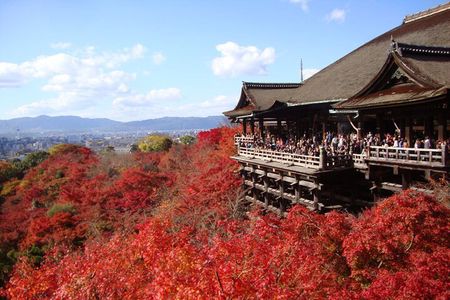 PERFECT KYOTO 1-Day Bus Tour