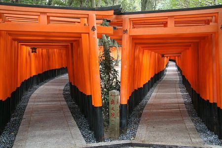 PERFECT KYOTO 1-Day Bus Tour