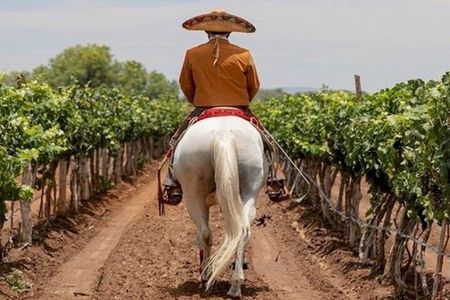 Wine Tour and Horseback Ride through the Mountains of Guanajuato
