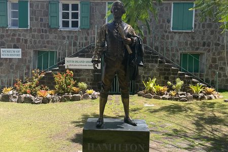 Nevis Panoramic Drive, Power Catamaran & Beach Experience 