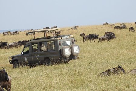 3-Day Serengeti NP, Ngorongoro Crater