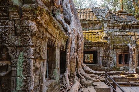 Small Group Explore Angkor Wat Sunrise Tour from Siem Reap