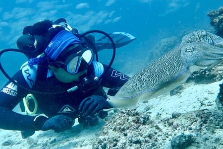 Scuba Diving & Snorkeling Trip in Khorfakkan & Fujairah 