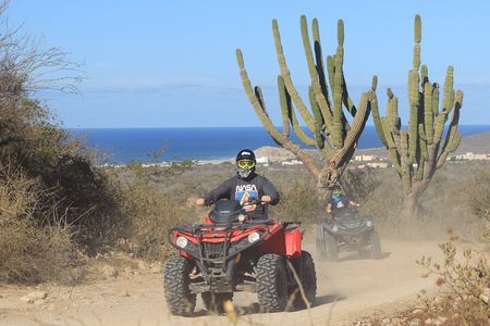 Beach and Desert 4x4 ATV Tour