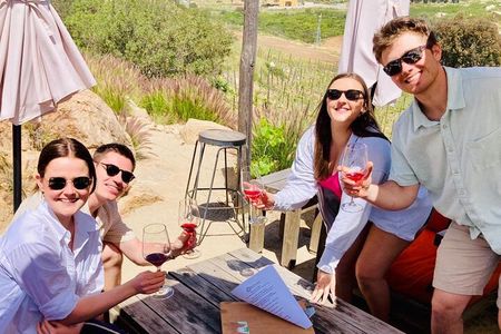 Wine Tasting Tour ONLY for Cruise Ship Visitors. ALL INCLUSIVE!