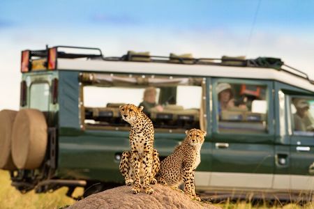 3-Day fly in Private Safari in Serengeti and Ngorongoro
