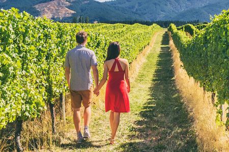 San Francisco: Napa & Sonoma Wine Tour & 24hr Hop-on Hop-off Tour