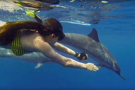 Mnemba Snorkeling, Dolphin and Baraka Natural Aquarium