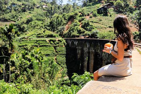 Explore the best of Ella. Hiking, waterfalls and cultural tour