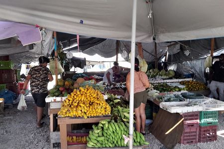 Belize City Culture, Nature, Rum tasting, V.i.V.