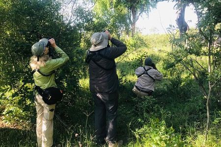 Full Day Birding Zambezi National Park Includes Picnic Lunch