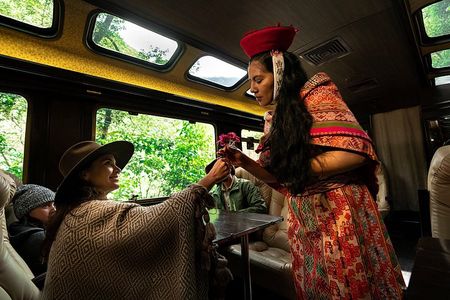 From Cusco: First Class Train to Machu Picchu Day Tour