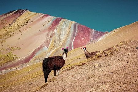 Full Day Rainbow Mountain Tour from Cusco with Hotel Transfer