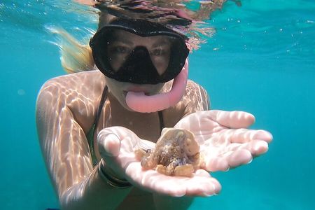 Marine Ecology Snorkel from Electric Beach Oahu with Photos