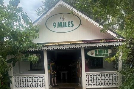 Nine Mile Reggae & History Guided Tour to Bob Marley's Birthplace