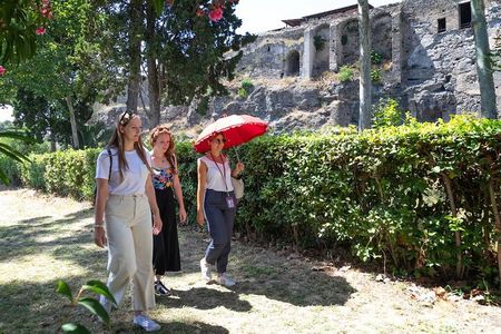Stories of Pompeii: Small Group tour with archeology expert guide