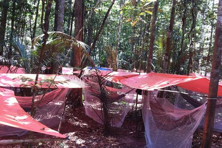 Dinner and Overnight in the Jungle in Manaus