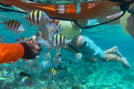 Half-Day Private Roatan Nature Park, Snorkeling, and Beach Tour