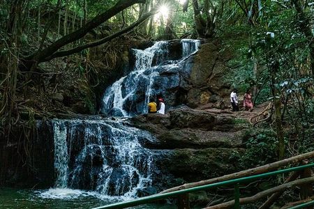 Day Tour to Karura Forest Nature Trail