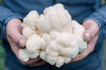 Gourmet Mushroom Farm Tour in Tennessee