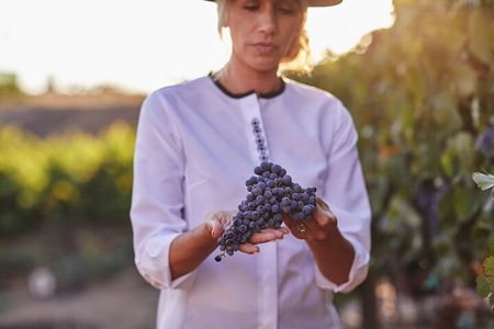 Europa Village Winery Tour