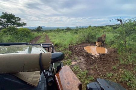 Richards Bay: Big 5 Luxury Safari at Manyoni Private Game Reserve