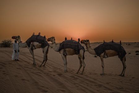 Combo:Private Desert Safari + dinner & ATV Self-drive/Quad Bike