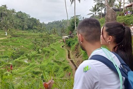 Full Day Mount Batur Sacred Monkey Forest Tour in Bali Island 