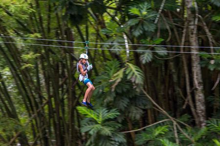 Guided Zipline and Island Gully Falls at White River 