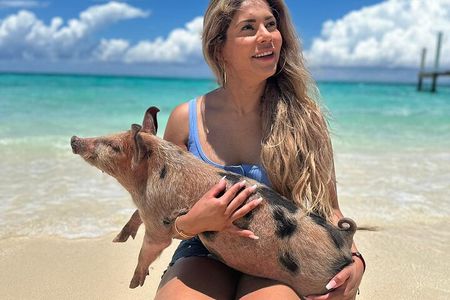 Nassau, Private Swimming Pig, Island Hopping, Snorkeling, Turtles