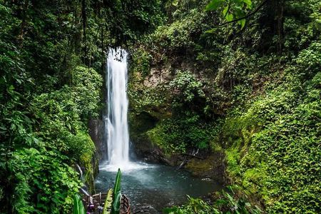 La Paz Waterfall Gardens Nature Park Full-Day Tour