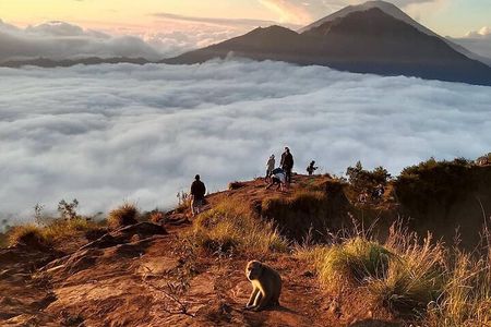 Mount Batur Hiking With Terraced paddy Field Visit