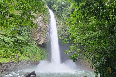 8 Days Costa Rica Rainforest & Coastal Experience for 2