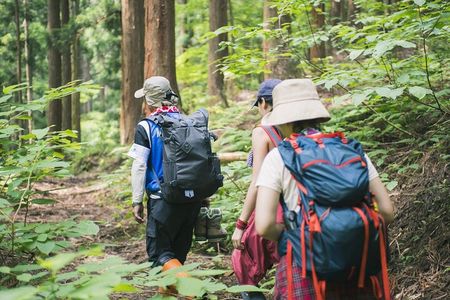 Bach Ma National Park Trekking Tour 1 Day From Hue City