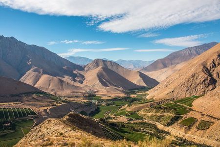 Elqui Valley Tour : History and Flavors ESP