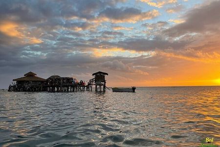 Zipline, YS Falls & Pelican Bar Private Tour From Montego Bay