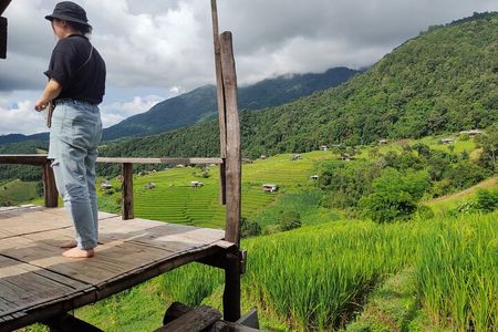 Rice fields terraces of Ban Pa Pong Piang. ( 1 day tour )