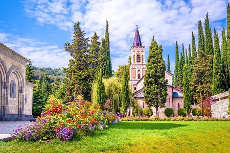 Day Trip to Kakheti Wine Region Including 9 Wine Tastings