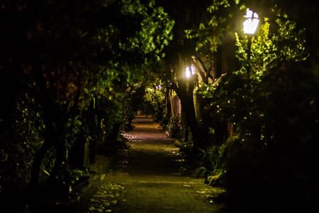 Dark Side of Charleston Guided Night-Time Walking Tour
